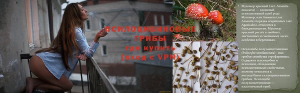 скорость Белокуриха