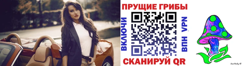 Псилоцибиновые грибы Psilocybe  Городец 